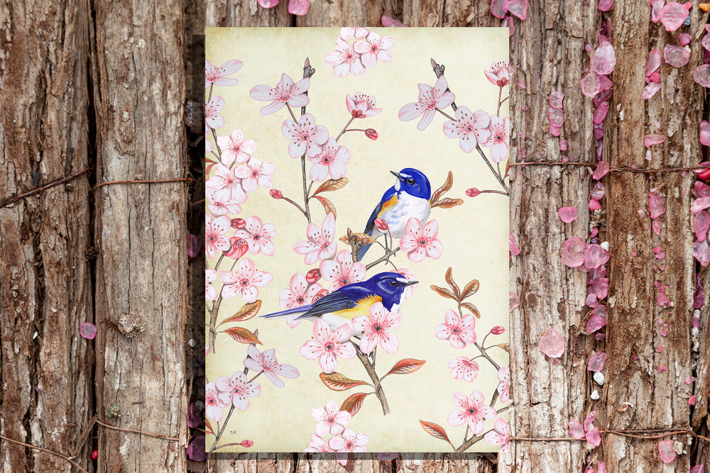 Tuinposter "Japanse bluebird op Japanse kers