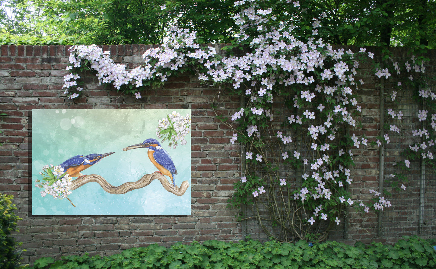 Tuinposter "IJsvogels, paringsritueel"