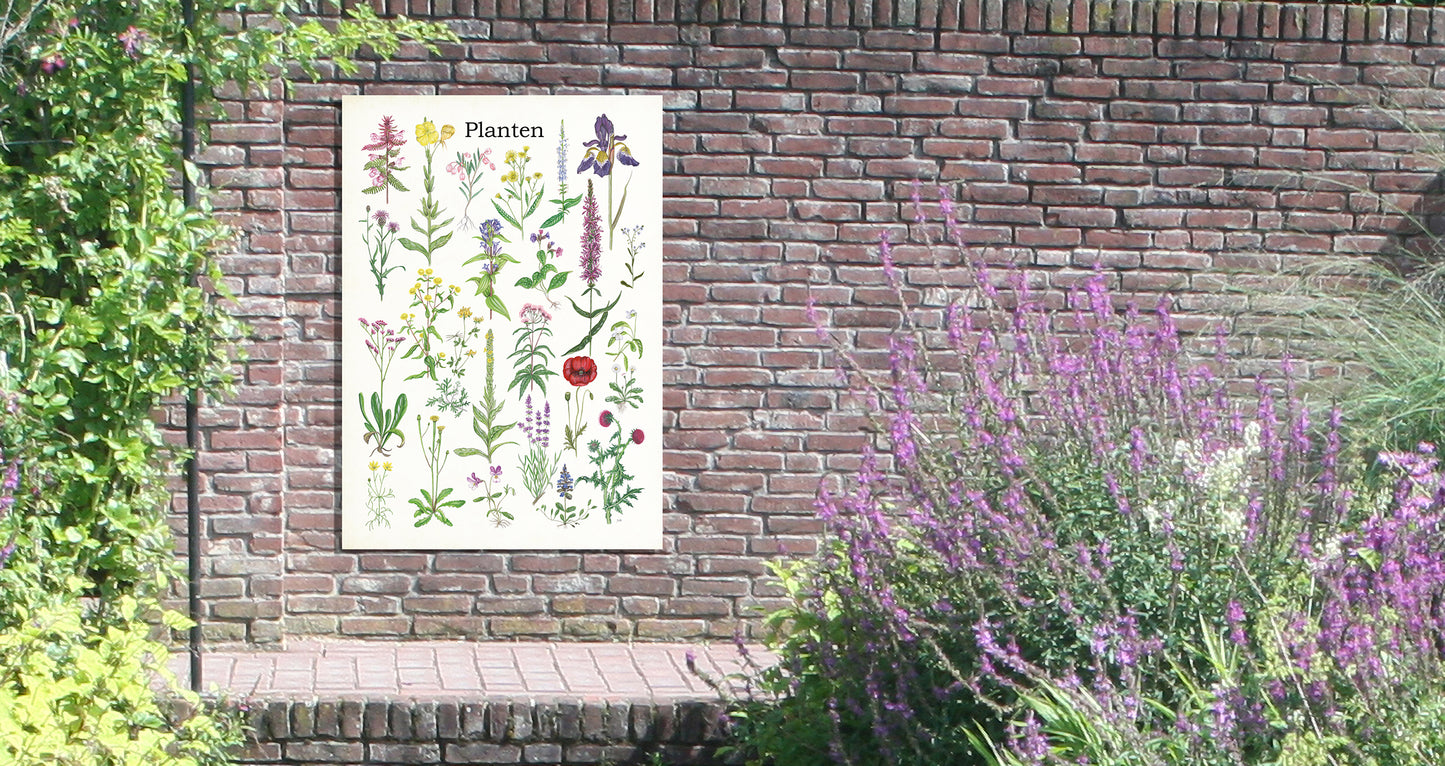 Tuinposter "Planten 2"