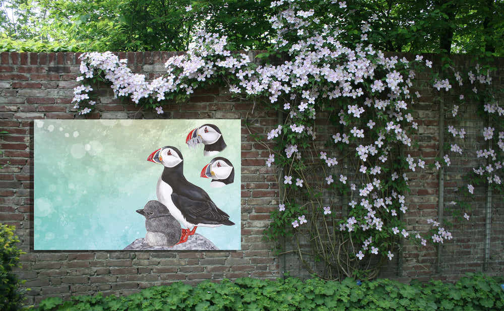 Tuinposter "Papegaaiduikers in de ochtendstond"