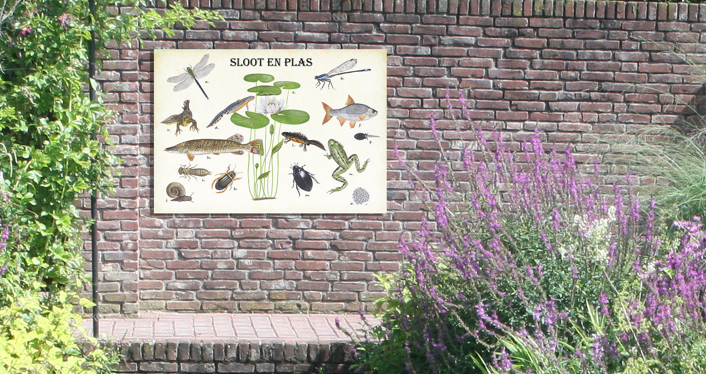 Tuinposter "Sloot en plas"
