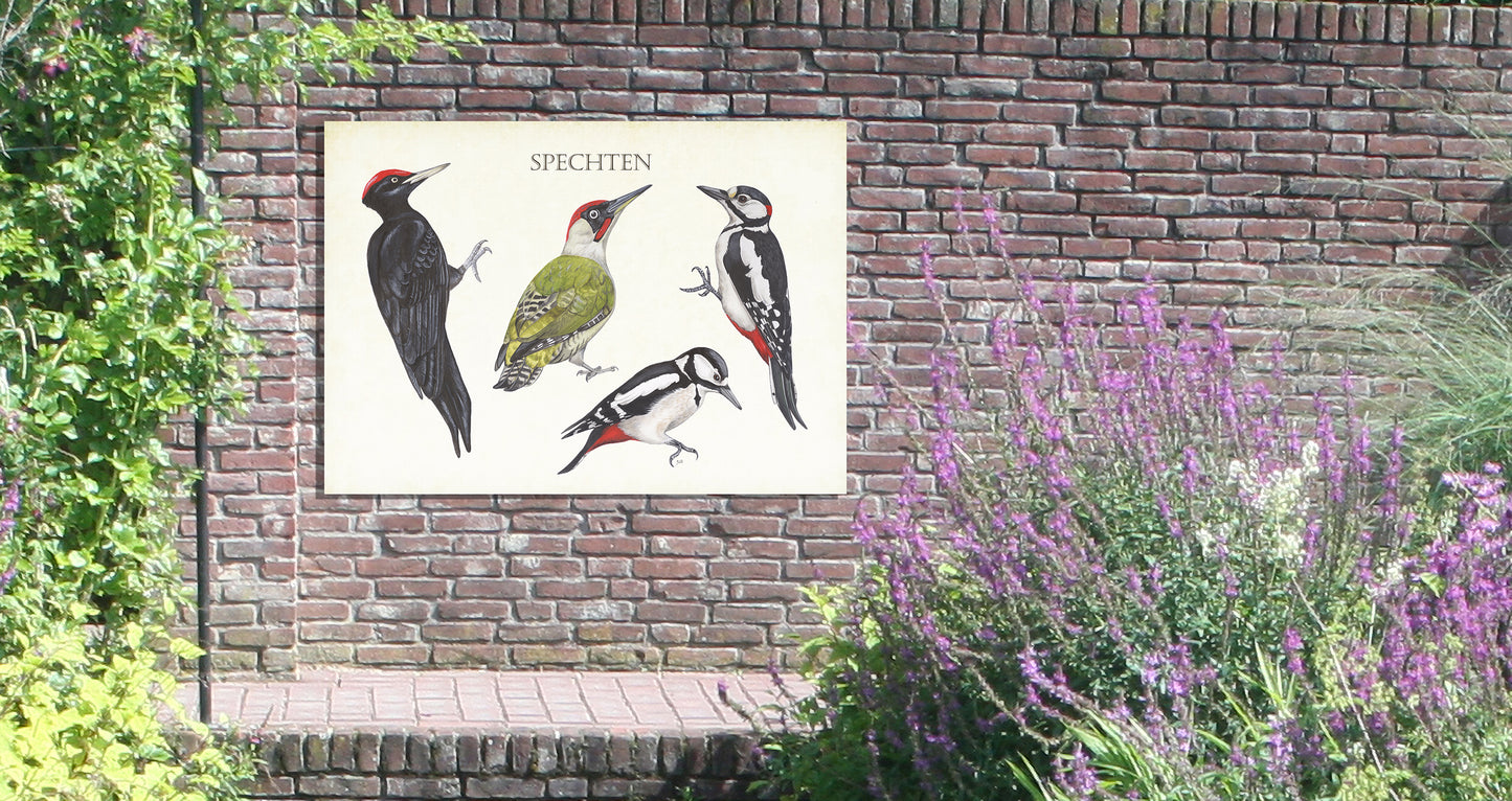 Tuinposter "Spechten"