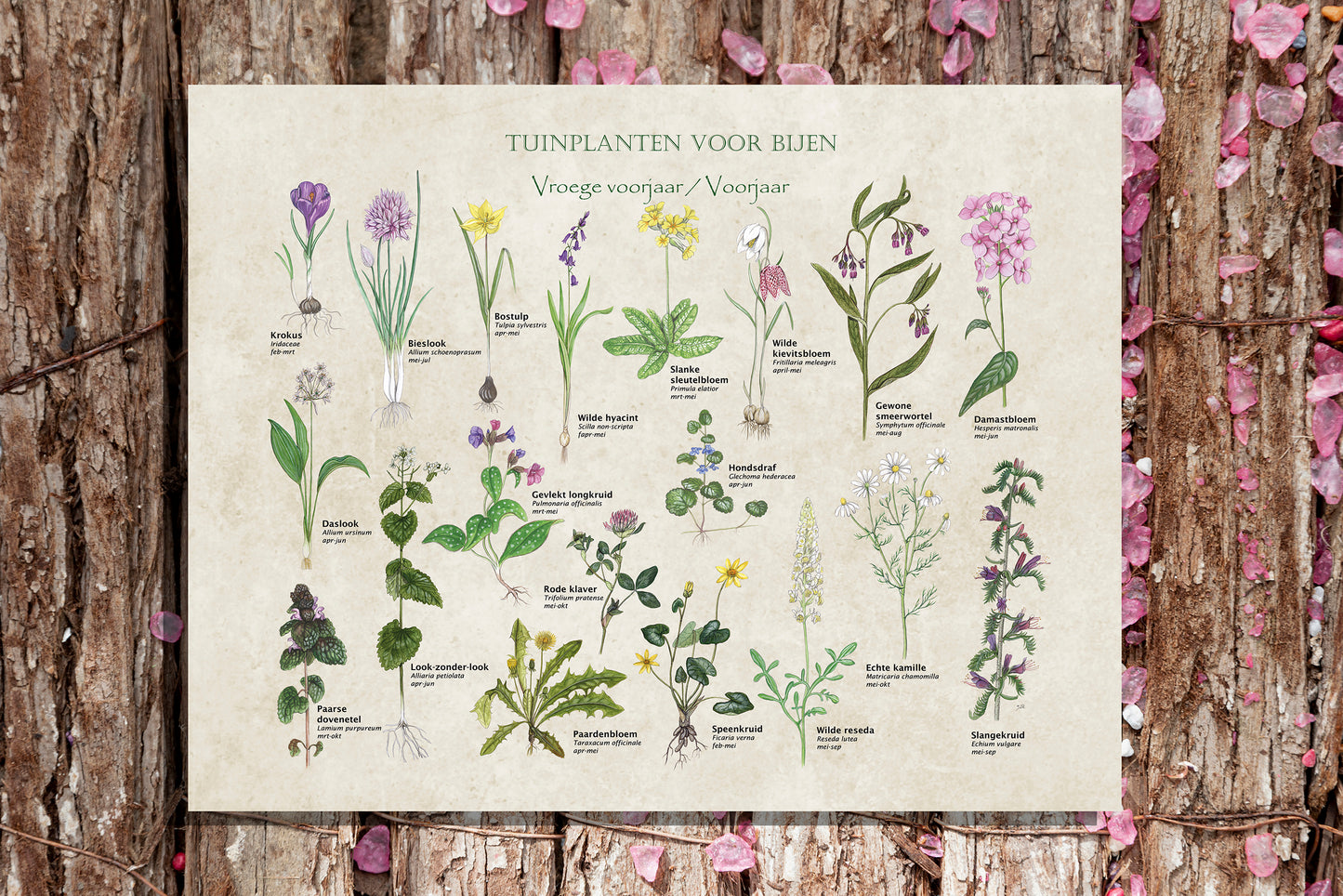 Tuinposter "Tuinplanten voor bijen, voorjaar"