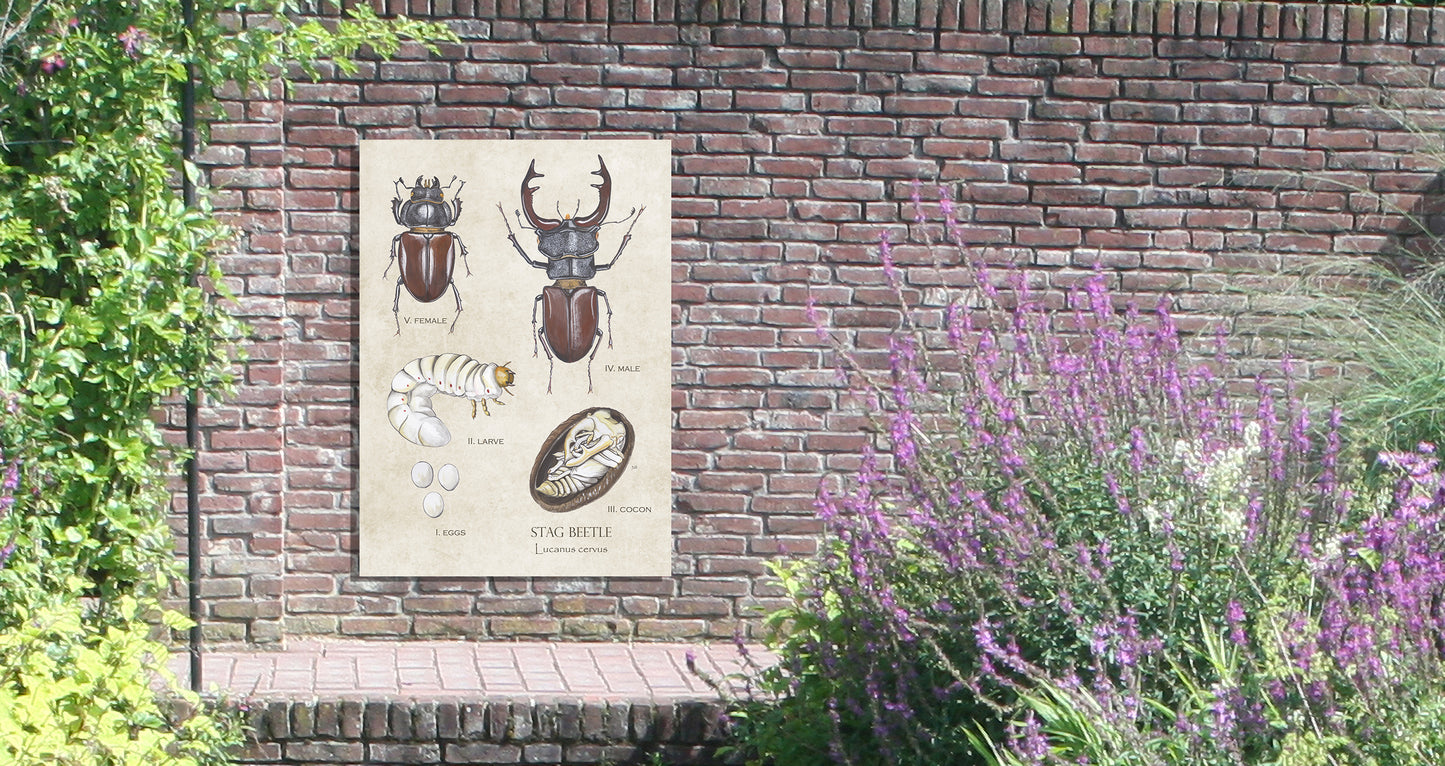 Tuinposter "Vliegend hert"