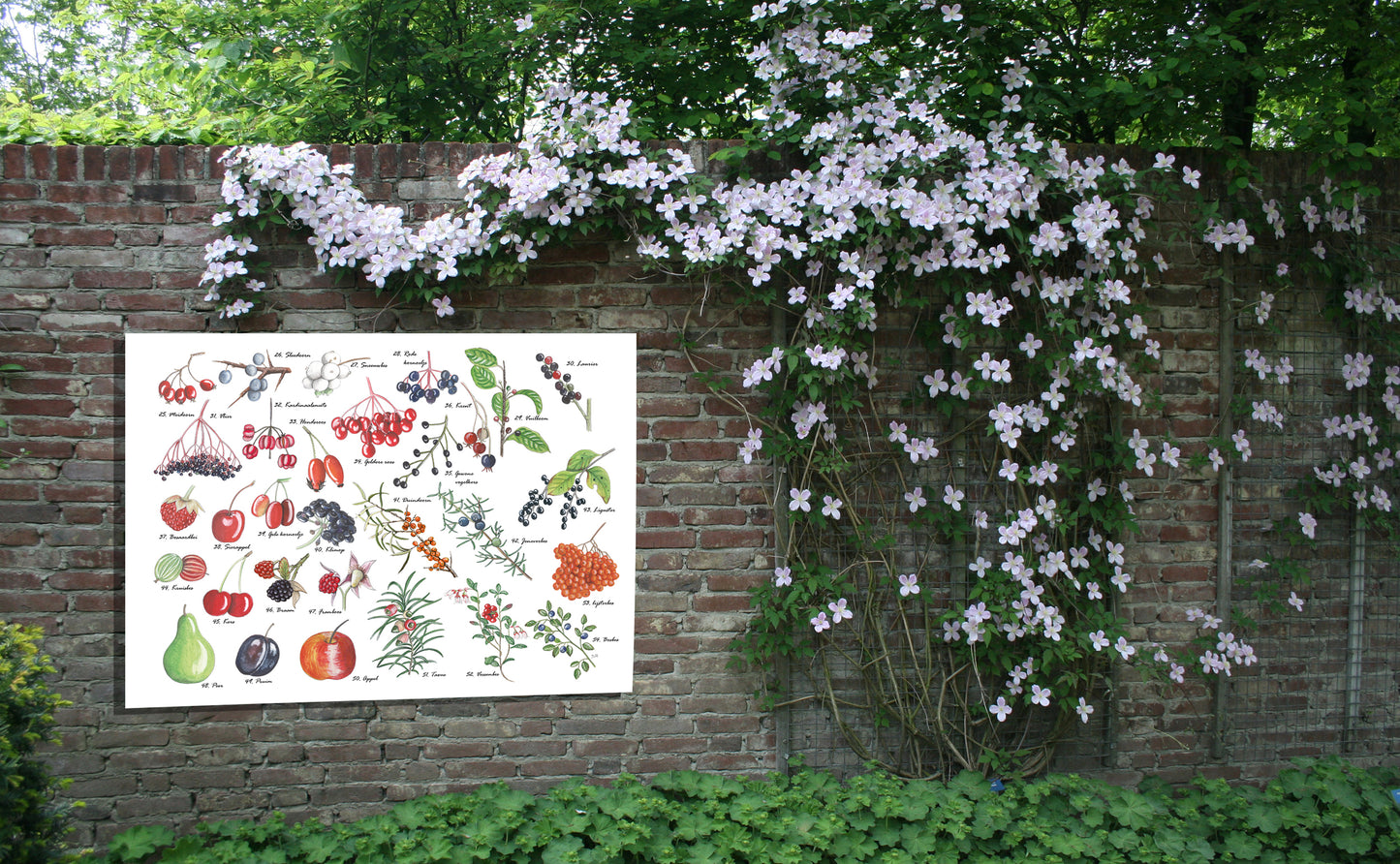 Tuinposter "Vruchten"