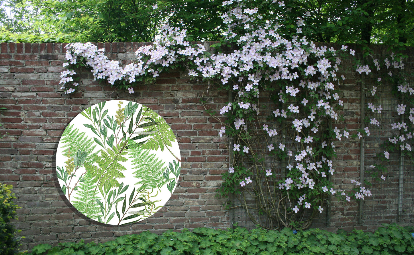 Tuinposter Cirkel "Bladeren op witte achtergrond"