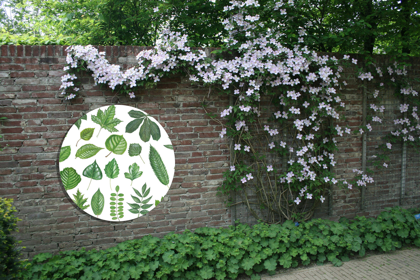 Tuinposter Cirkel "Bladeren 2"