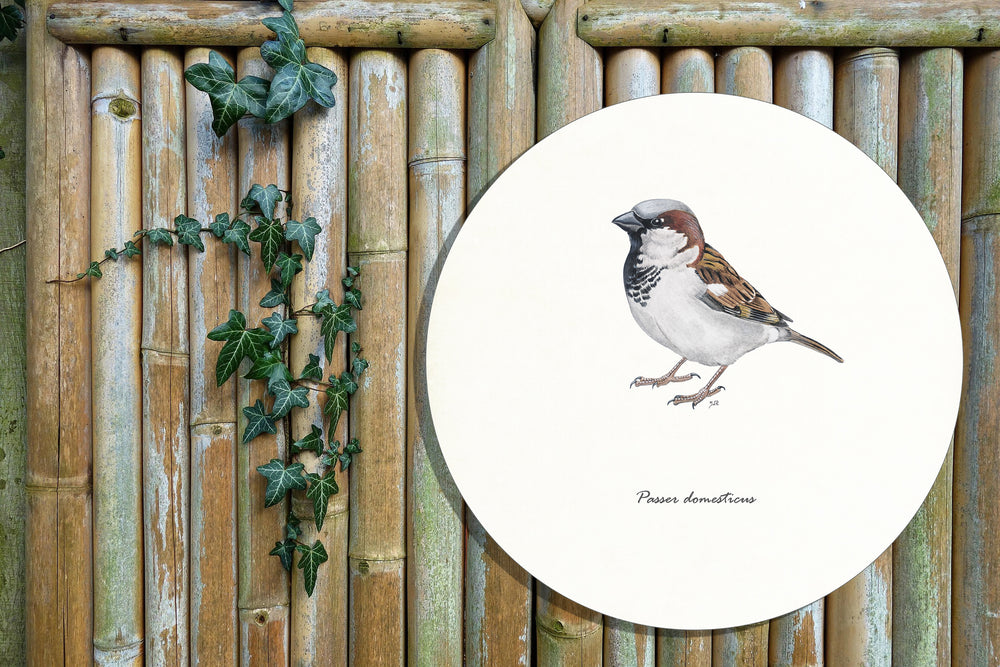Tuinposter Cirkel "Huismus"