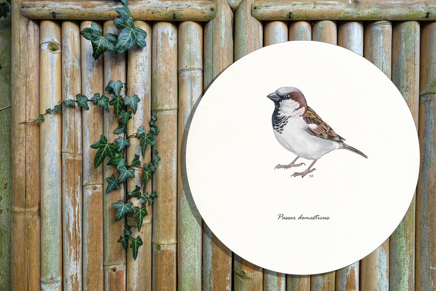 Tuinposter Cirkel "Huismus"