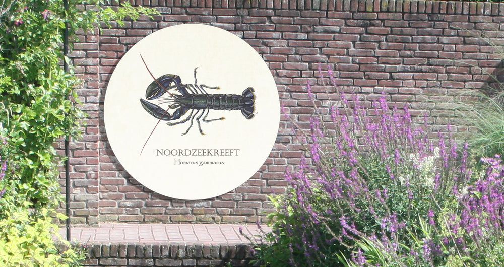 Tuinposter Cirkel "Noordzeekreeft"