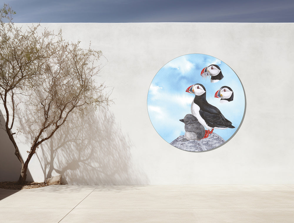 Tuinposter Cirkel "Papegaaiduikers met blauwe lucht"