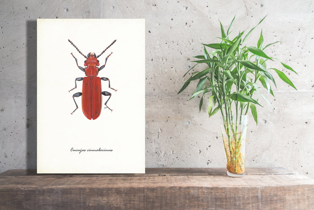 Wanddecoratie "Vermiljoenkever"