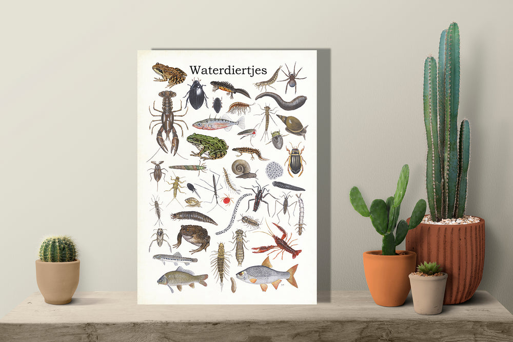 Wanddecoratie "Waterdiertjes"