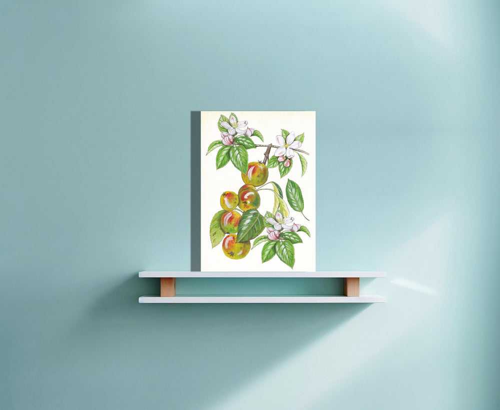 Wanddecoratie "Wilde appel, het leven van"