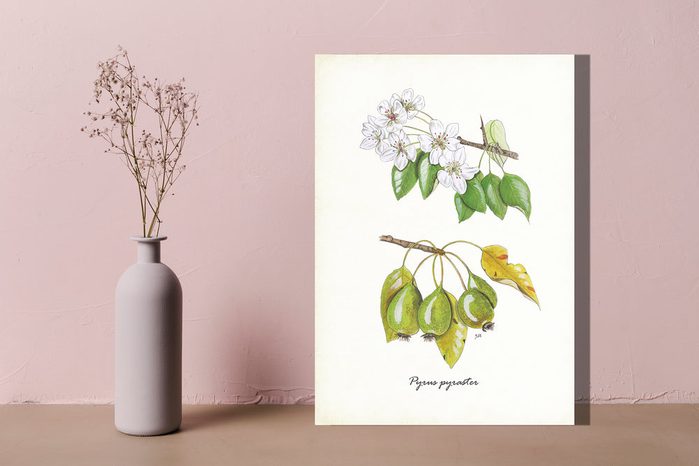 Wanddecoratie "Wilde peer"