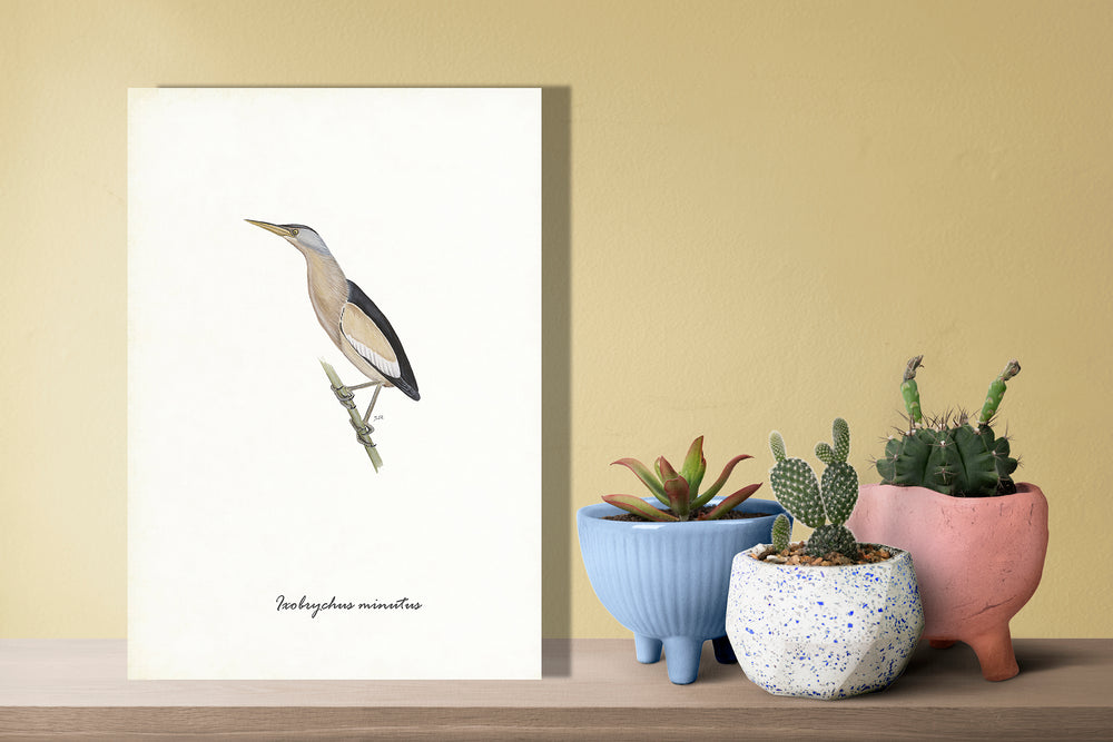 Wanddecoratie "Woudaapje"