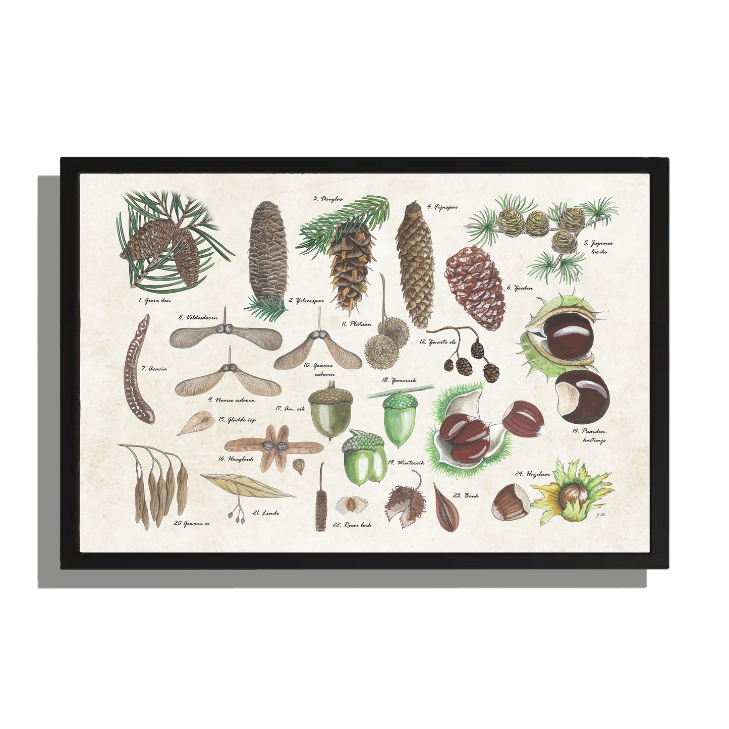 Wanddecoratie "Noten en zaden"