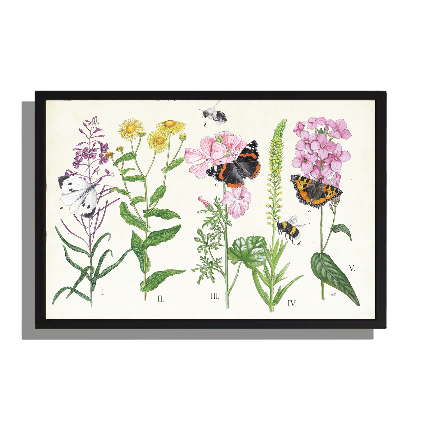 Wanddecoratie "Planten en haar insecten"