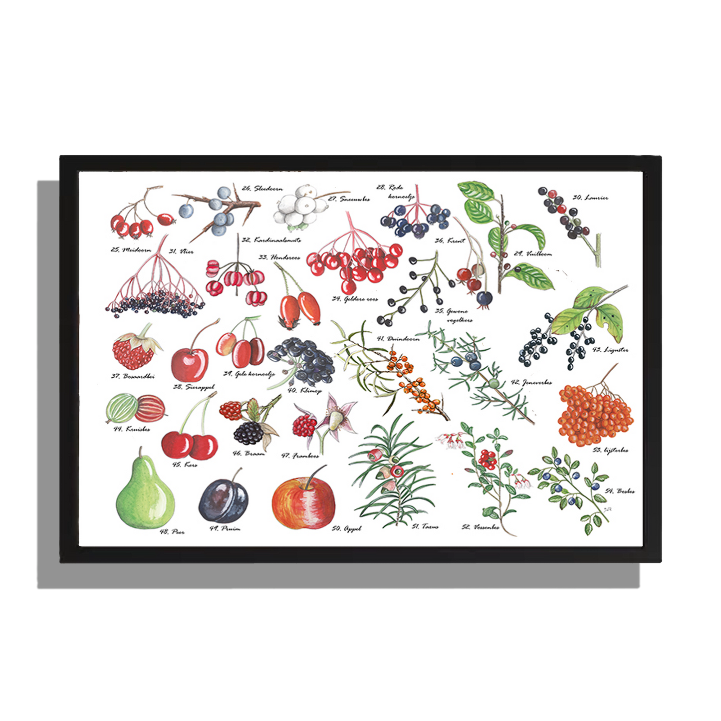 Wanddecoratie "Vruchten"