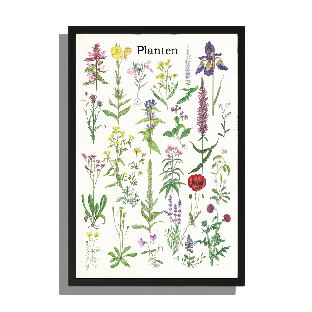 Ingelijst "Planten 2"