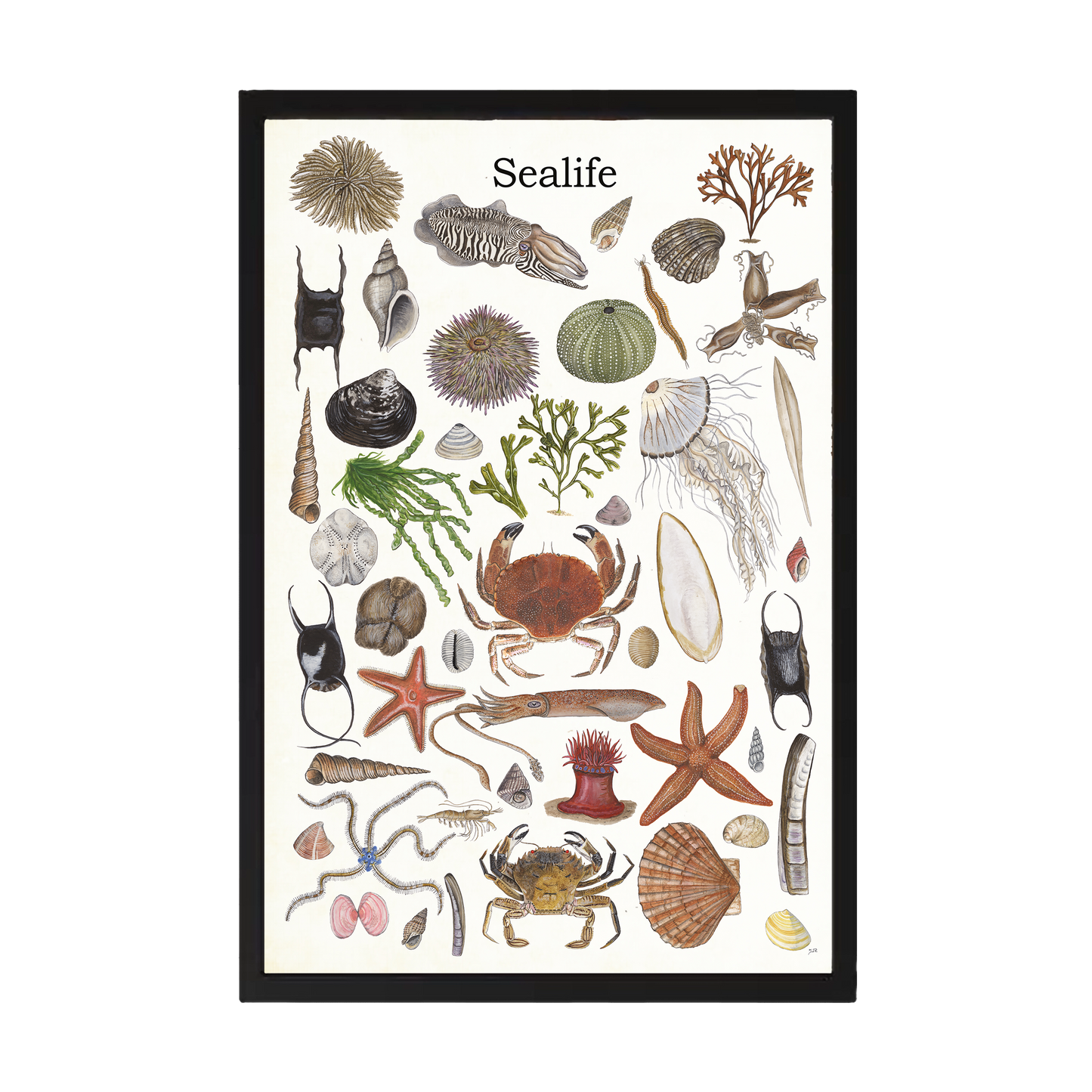 Wanddecoratie "Sealife 2"