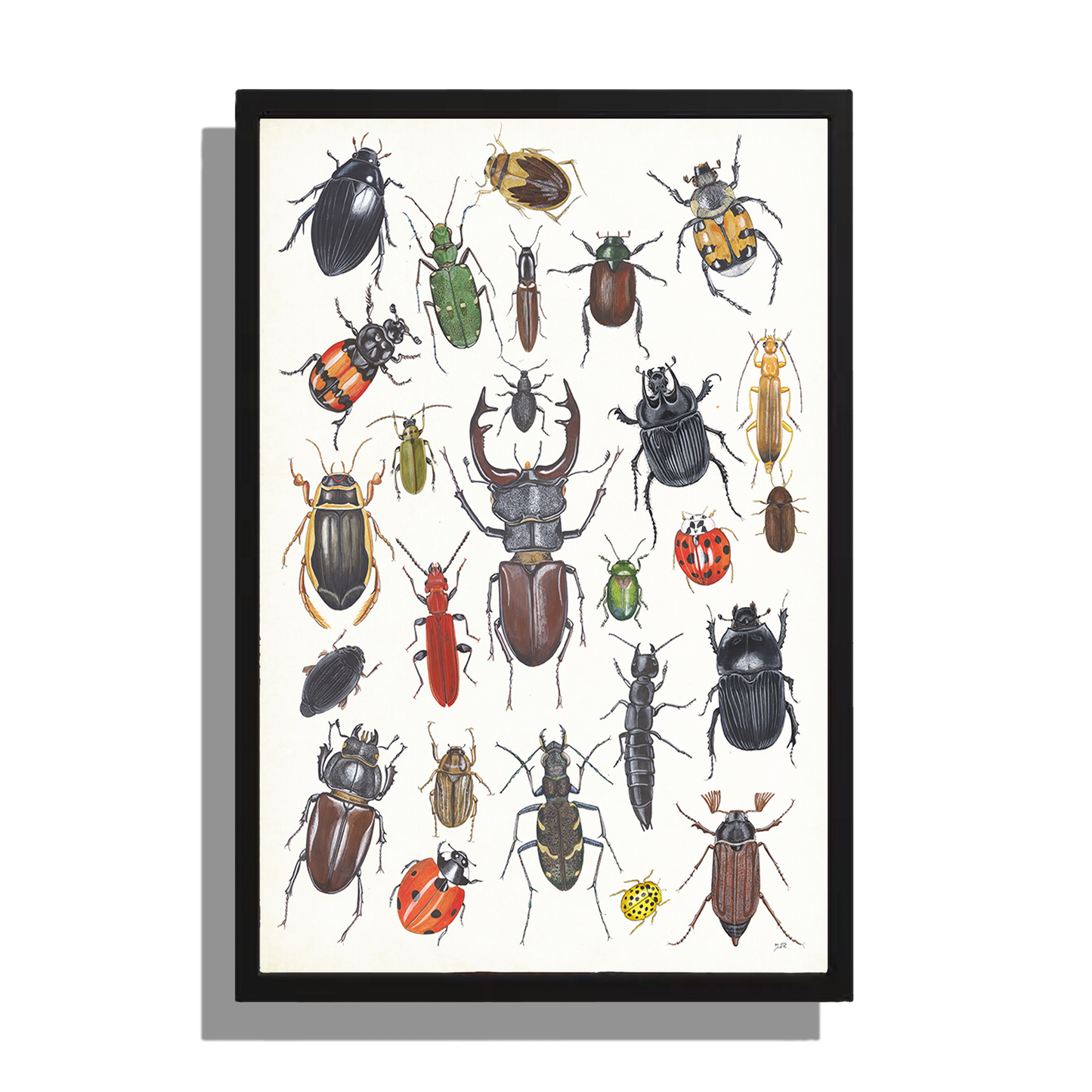 Wanddecoratie "Kevers 2"