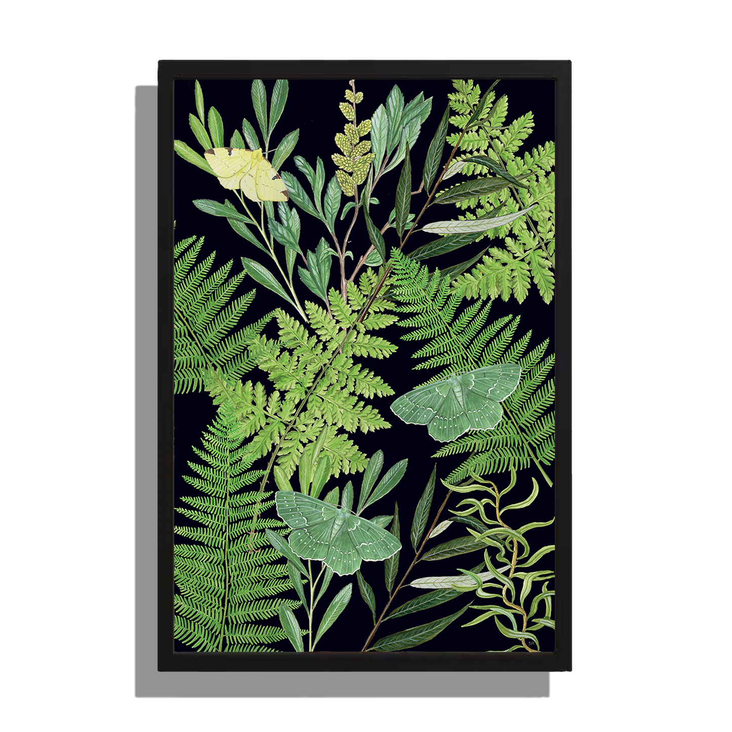 Wanddecoratie "Bladeren met nachtvlinders in de nacht"