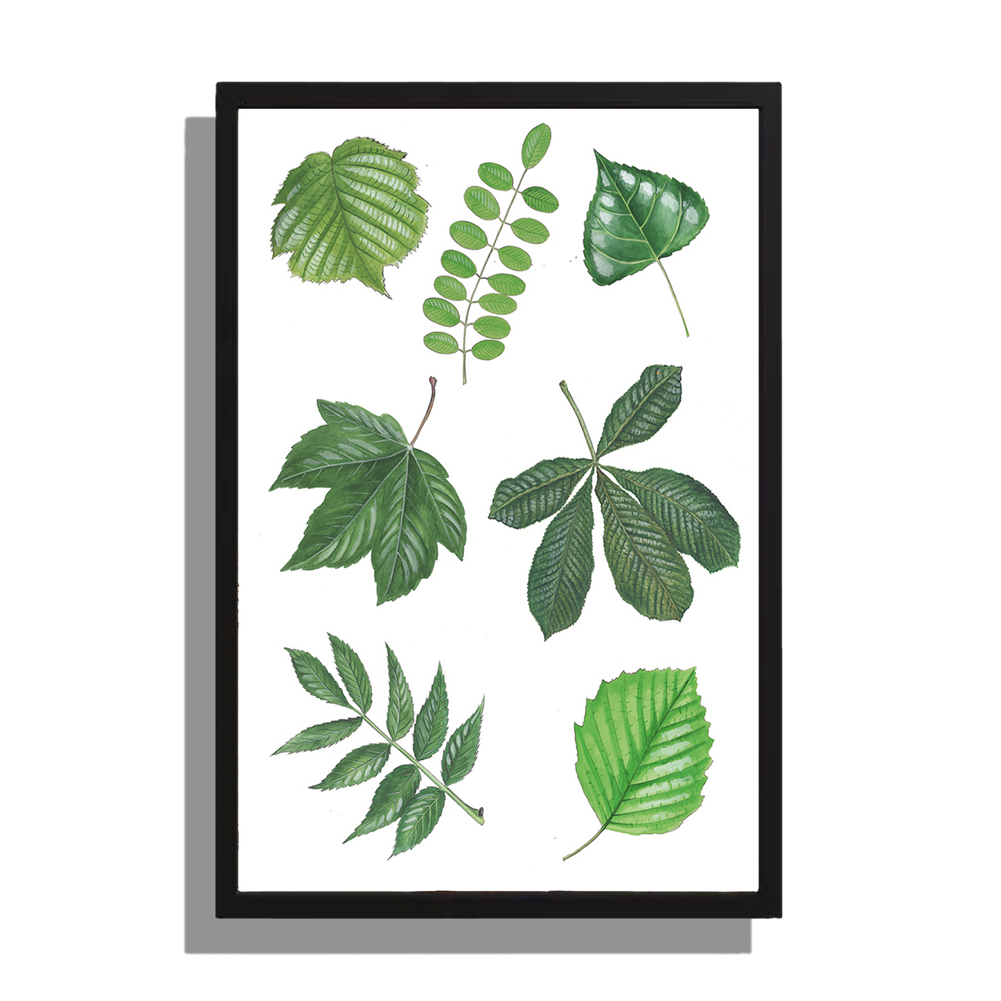 Wanddecoratie "7 Bladeren"