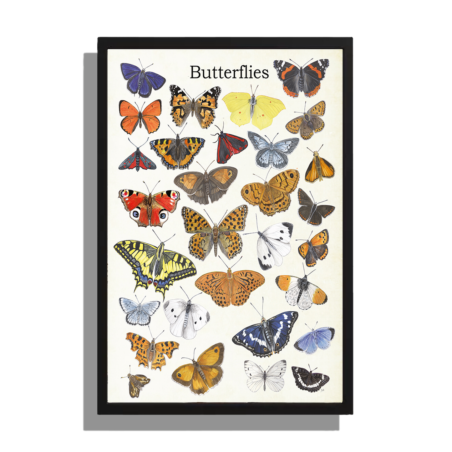 Wanddecoratie "Butterflies"
