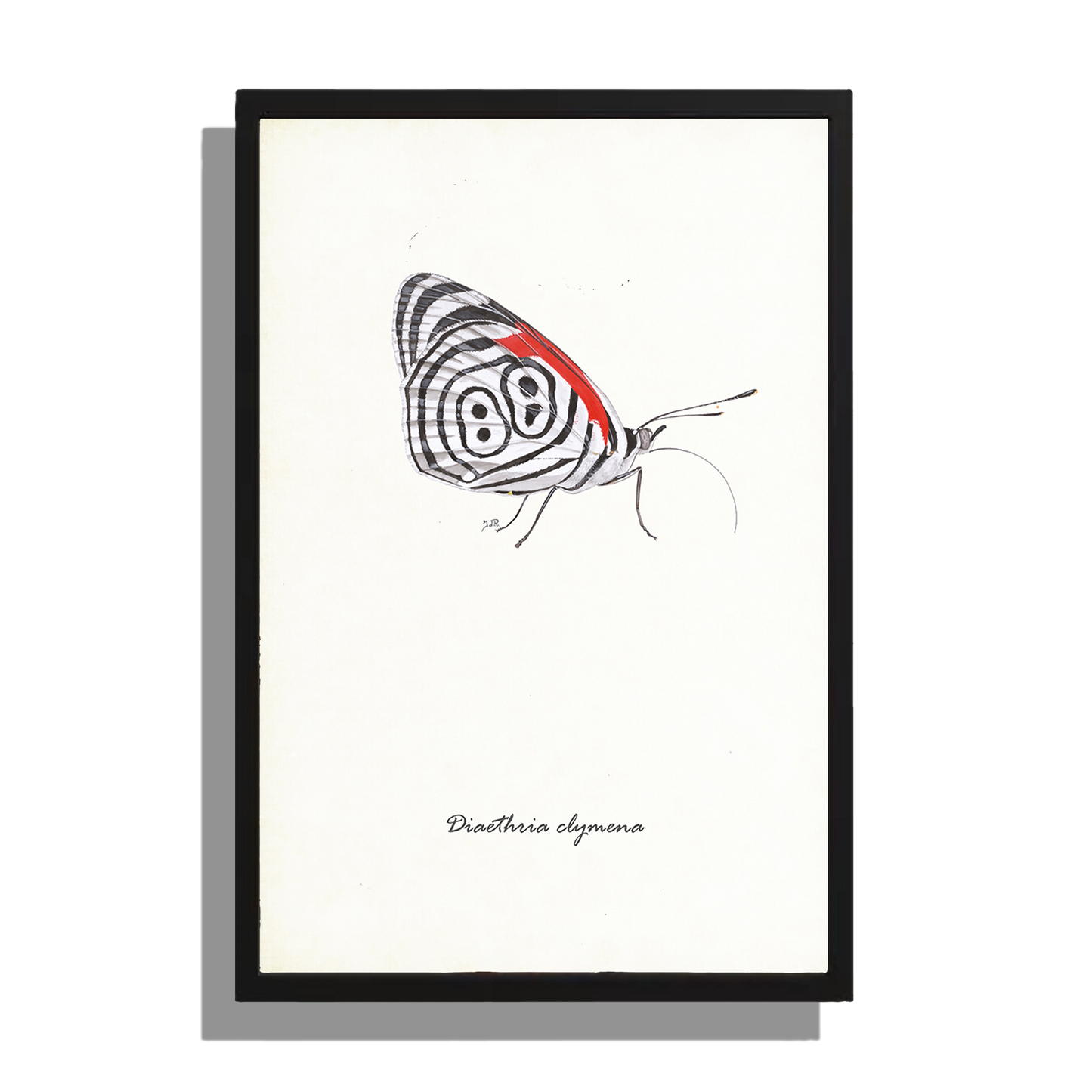 Wanddecoratie "Eighty-eigth butterfly"