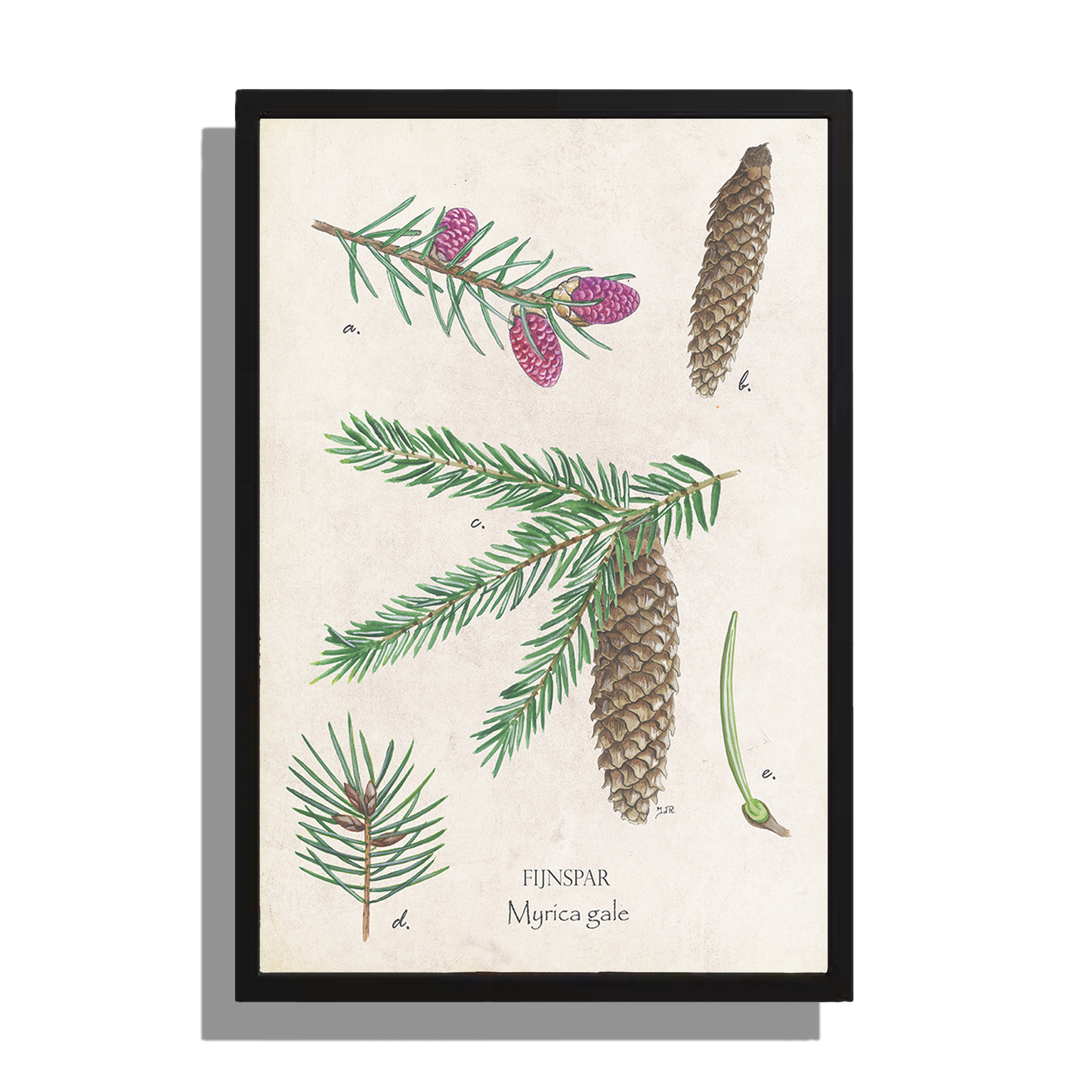 Wanddecoratie "Fijnspar"