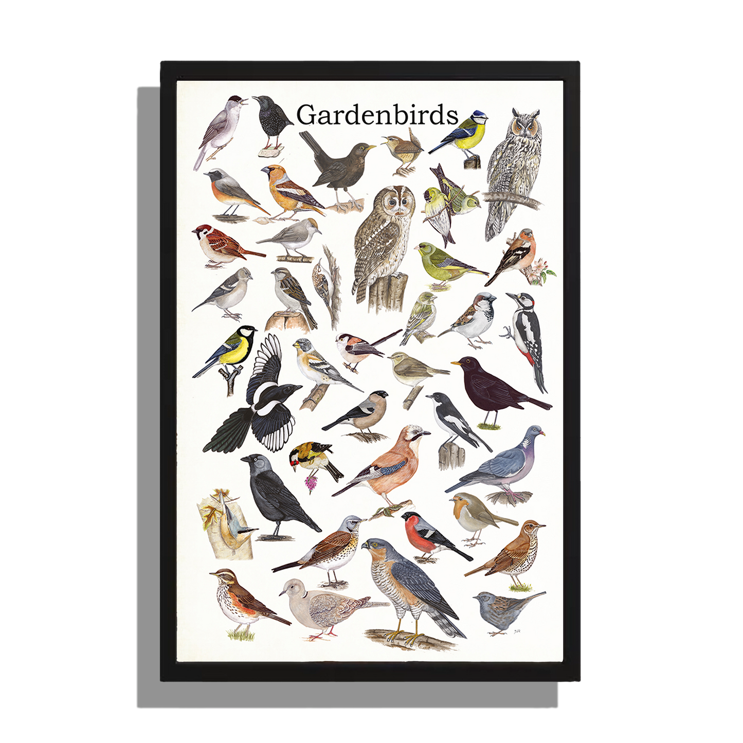 Wanddecoratie "Gardenbirds"