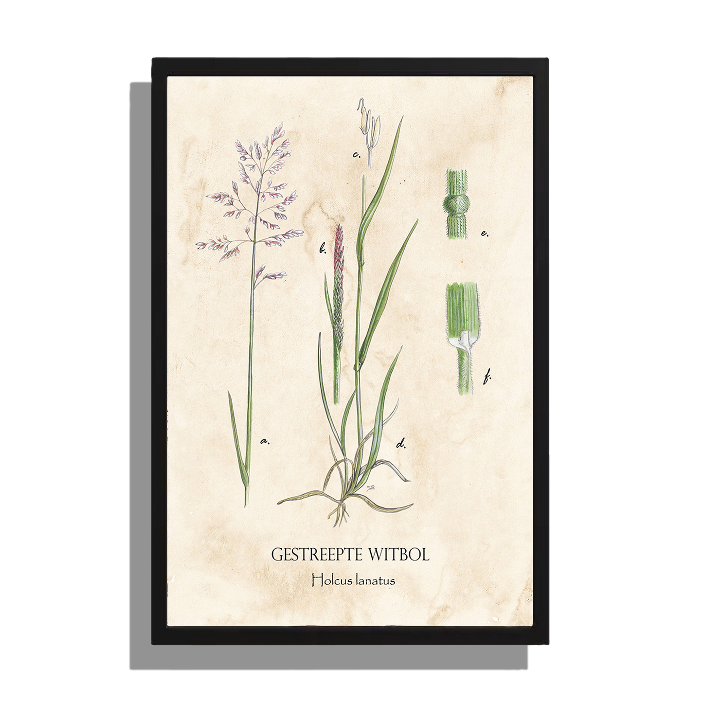 Wanddecoratie "Gestreepte witbol"
