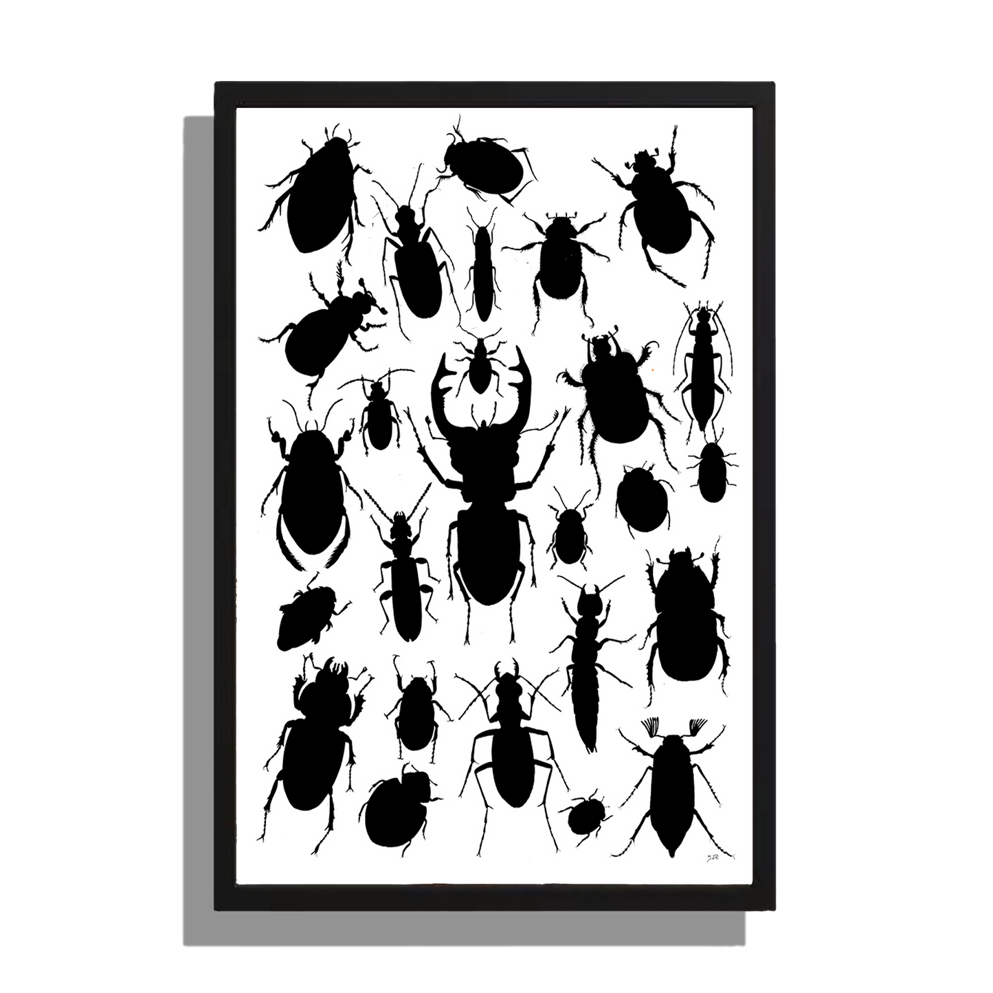 Wanddecoratie "Kevers in zwartwit"