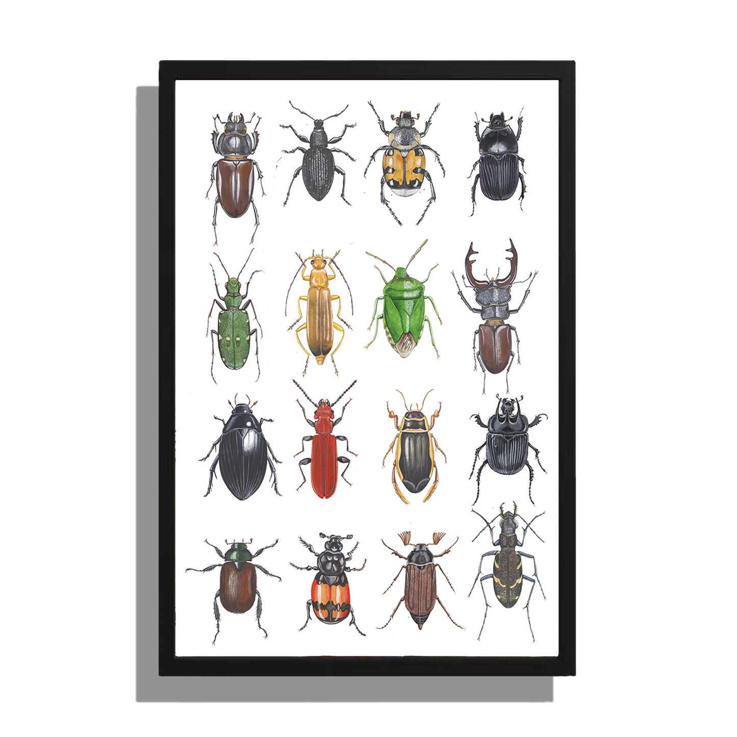 Wanddecoratie "Kevers"