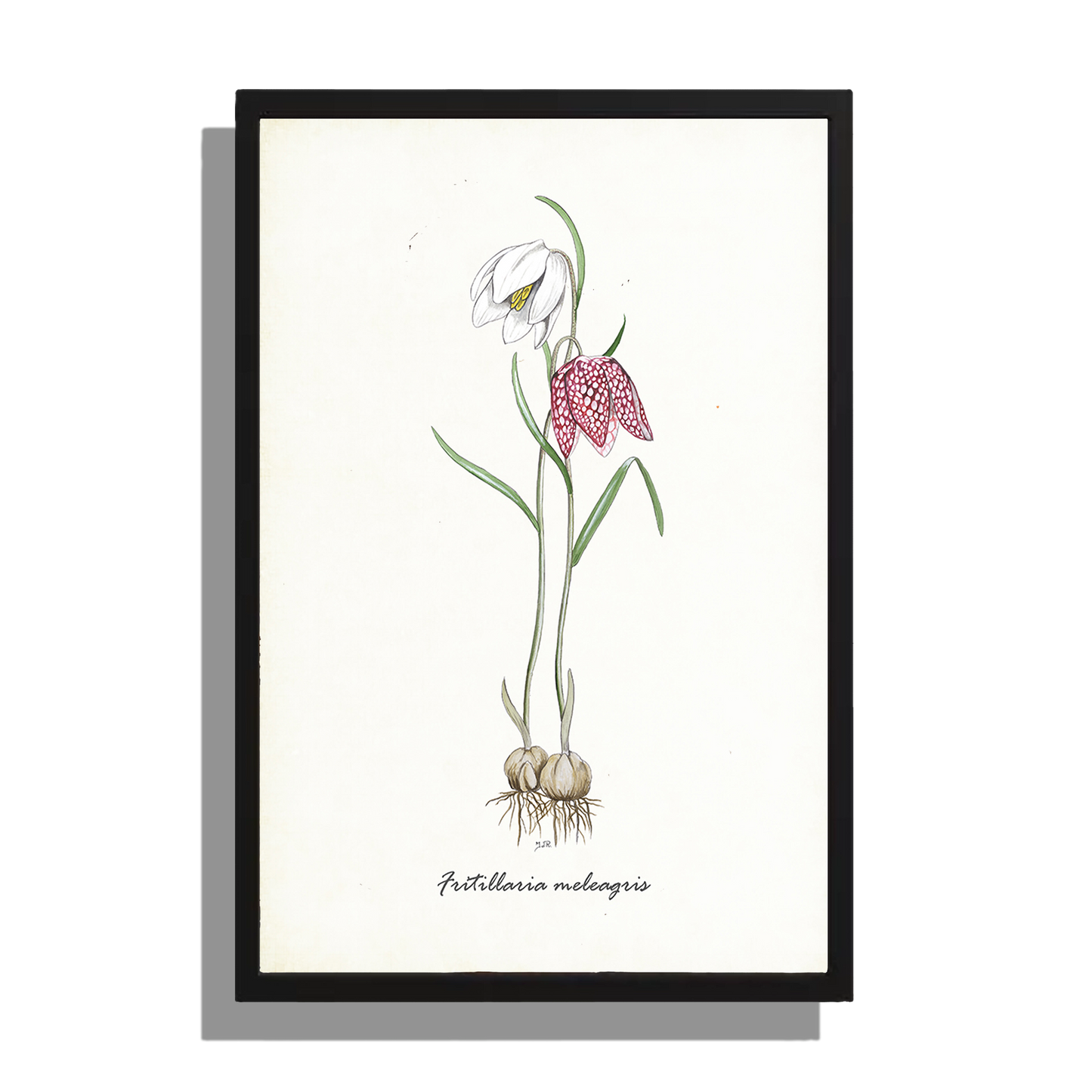 Wanddecoratie "Kievitsbloemen"