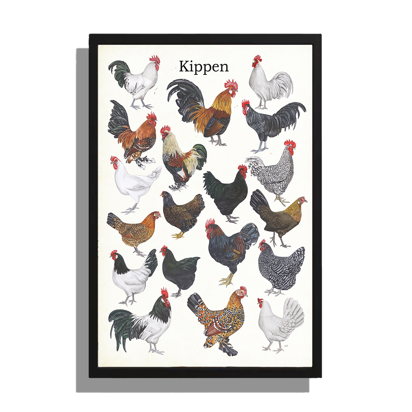 Wanddecoratie "Kippen"