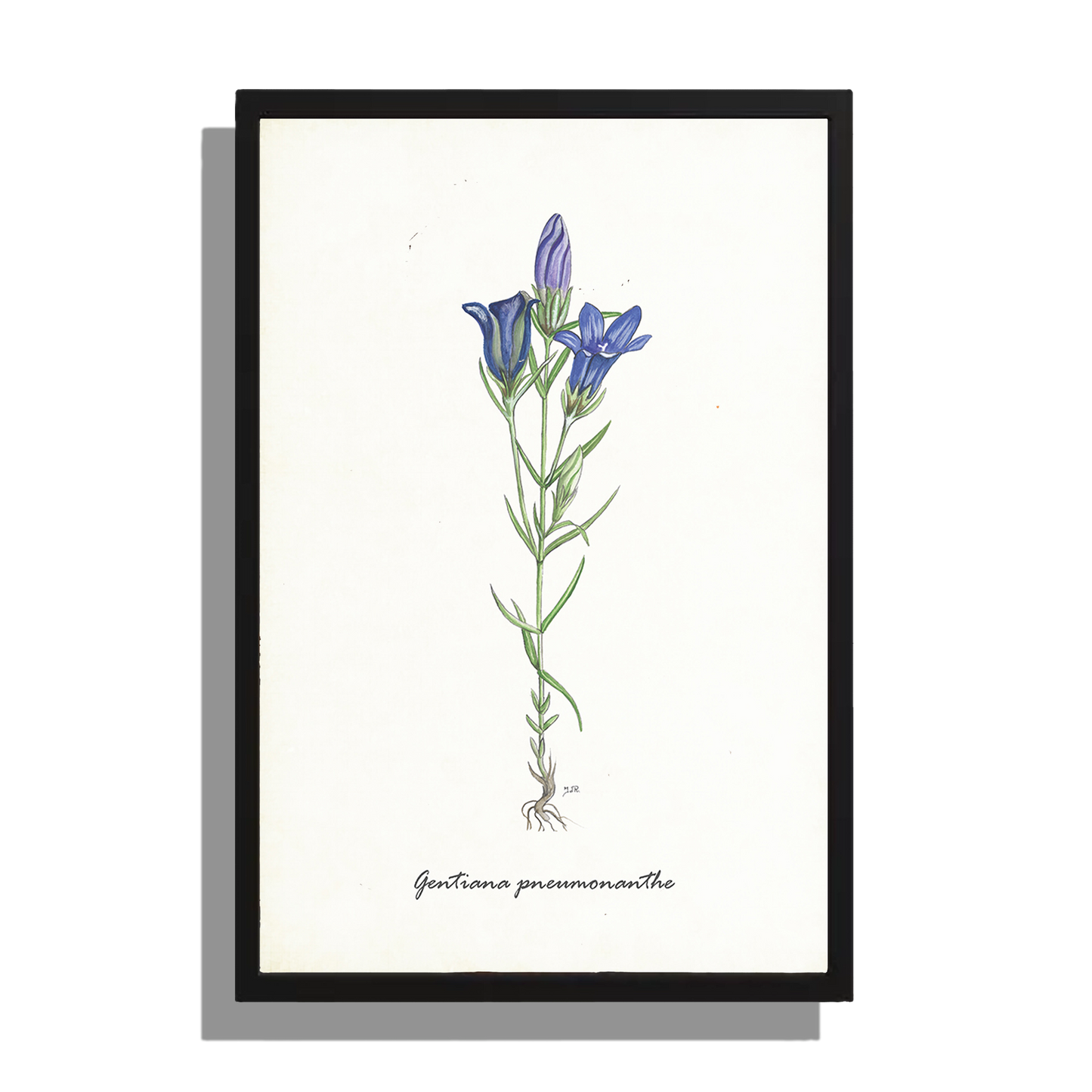 Wanddecoratie "Klokjesgentiaan"