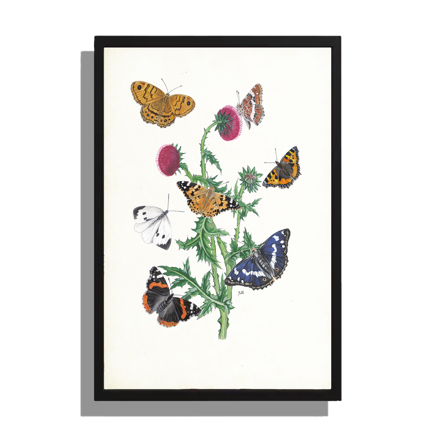 Wanddecoratie "Knikkende distel met vlinders"