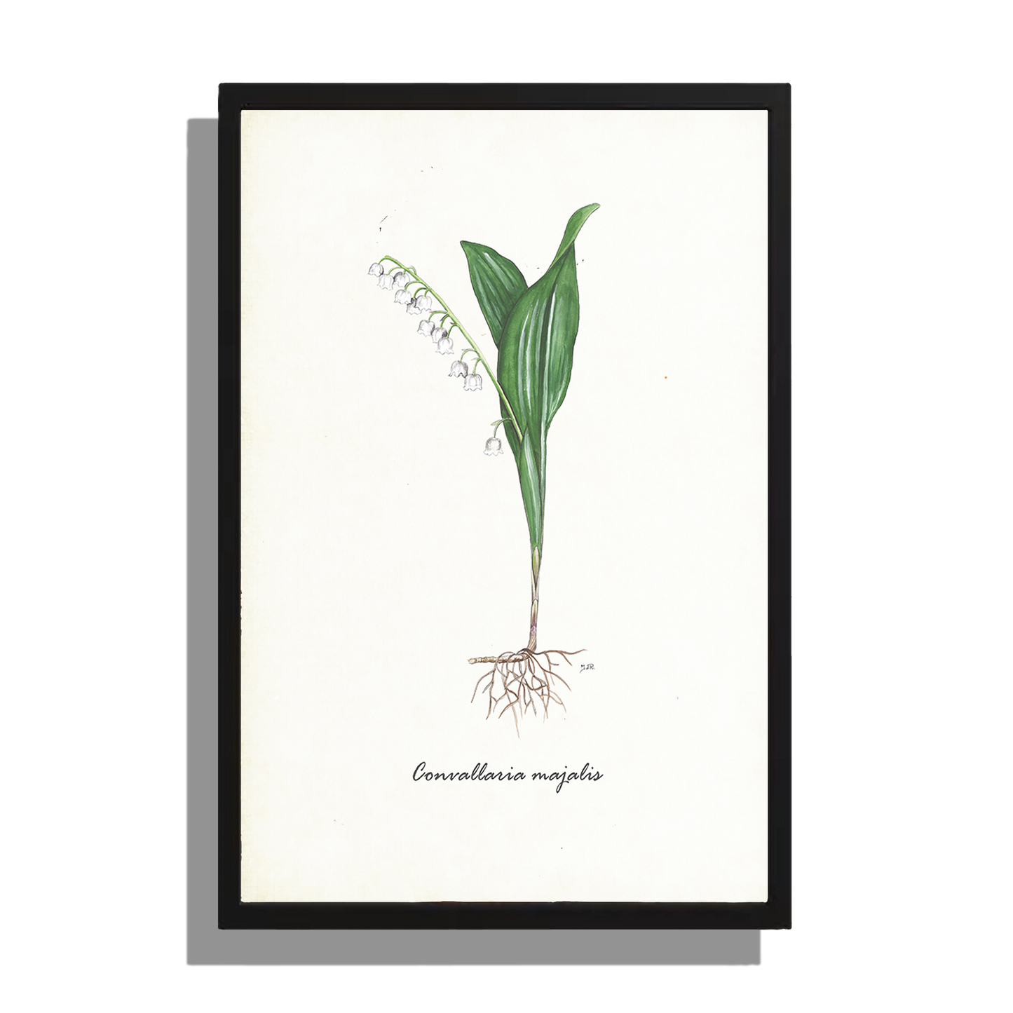 Wanddecoratie "Lelietje van dalen"