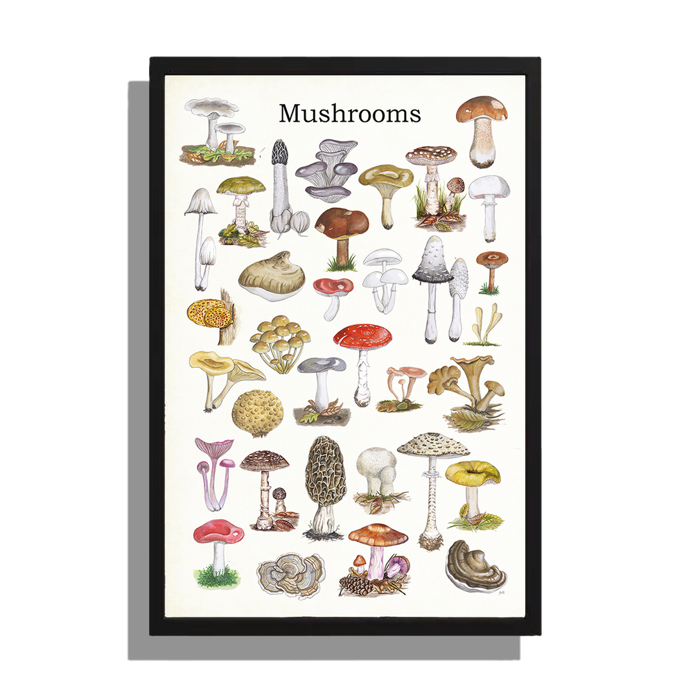 Ingelijst "Mushrooms"