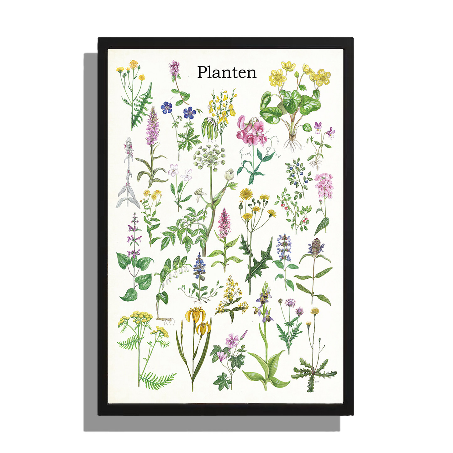 Wanddecoratie "Planten"