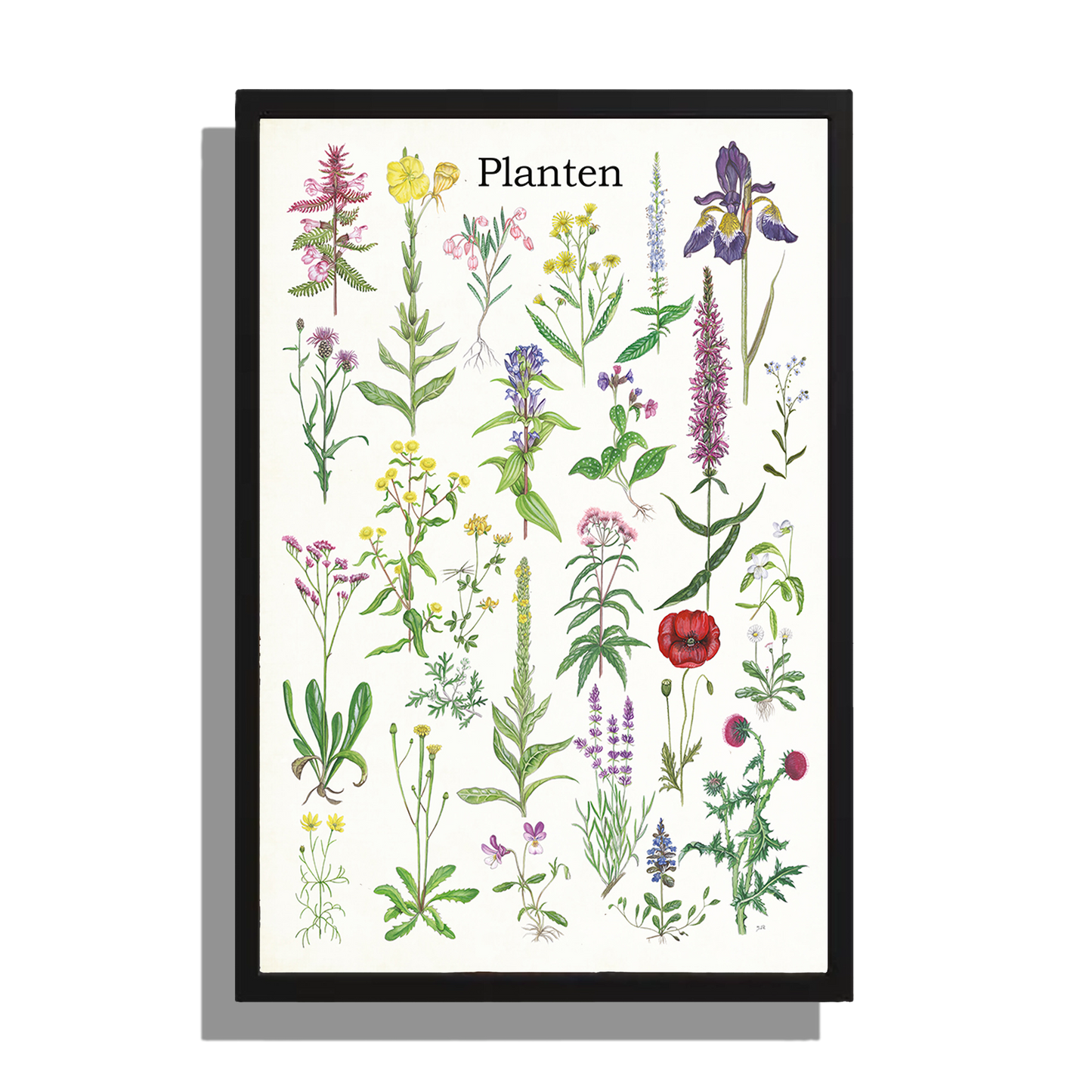 Wanddecoratie "Planten 2"