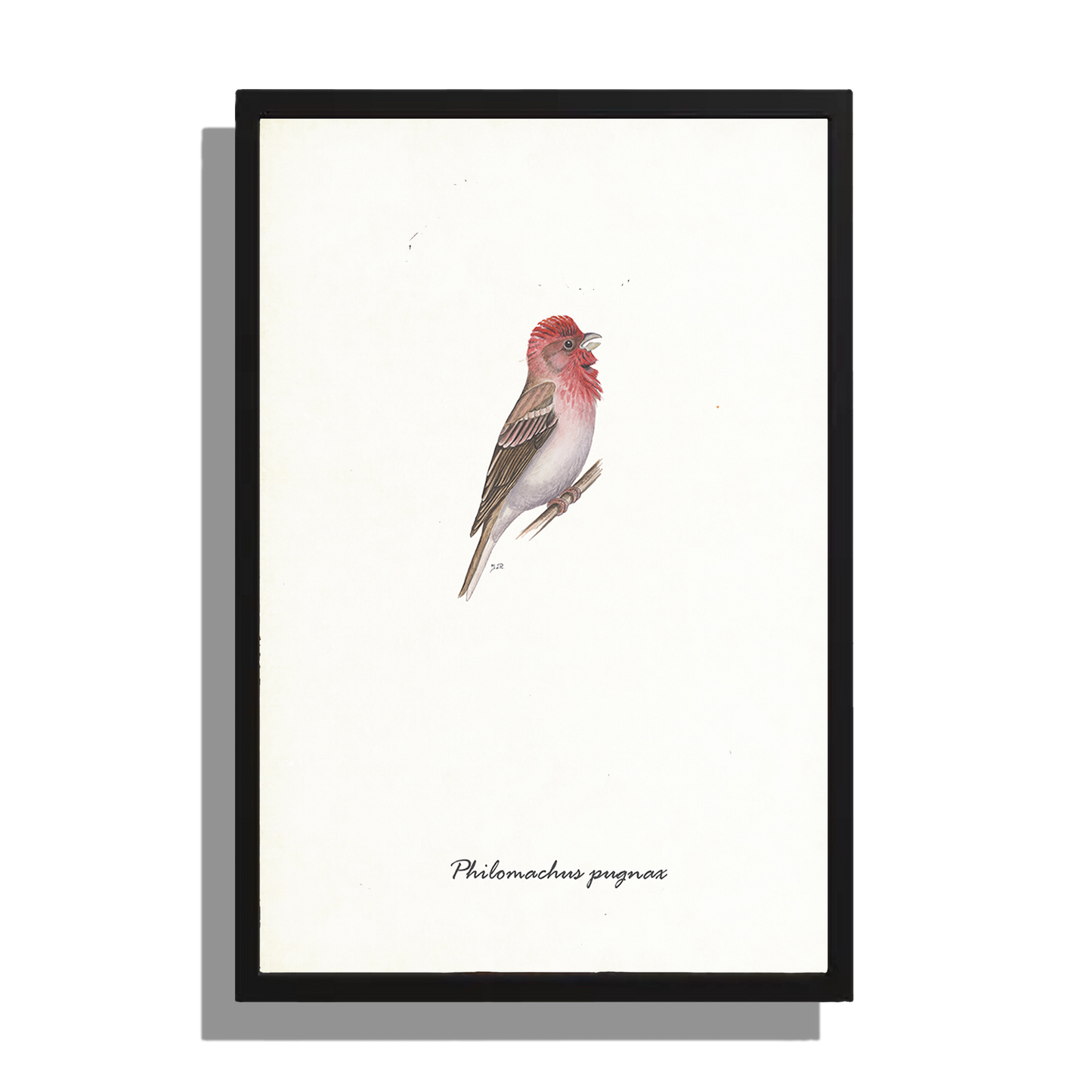 Wanddecoratie "Roodmus"