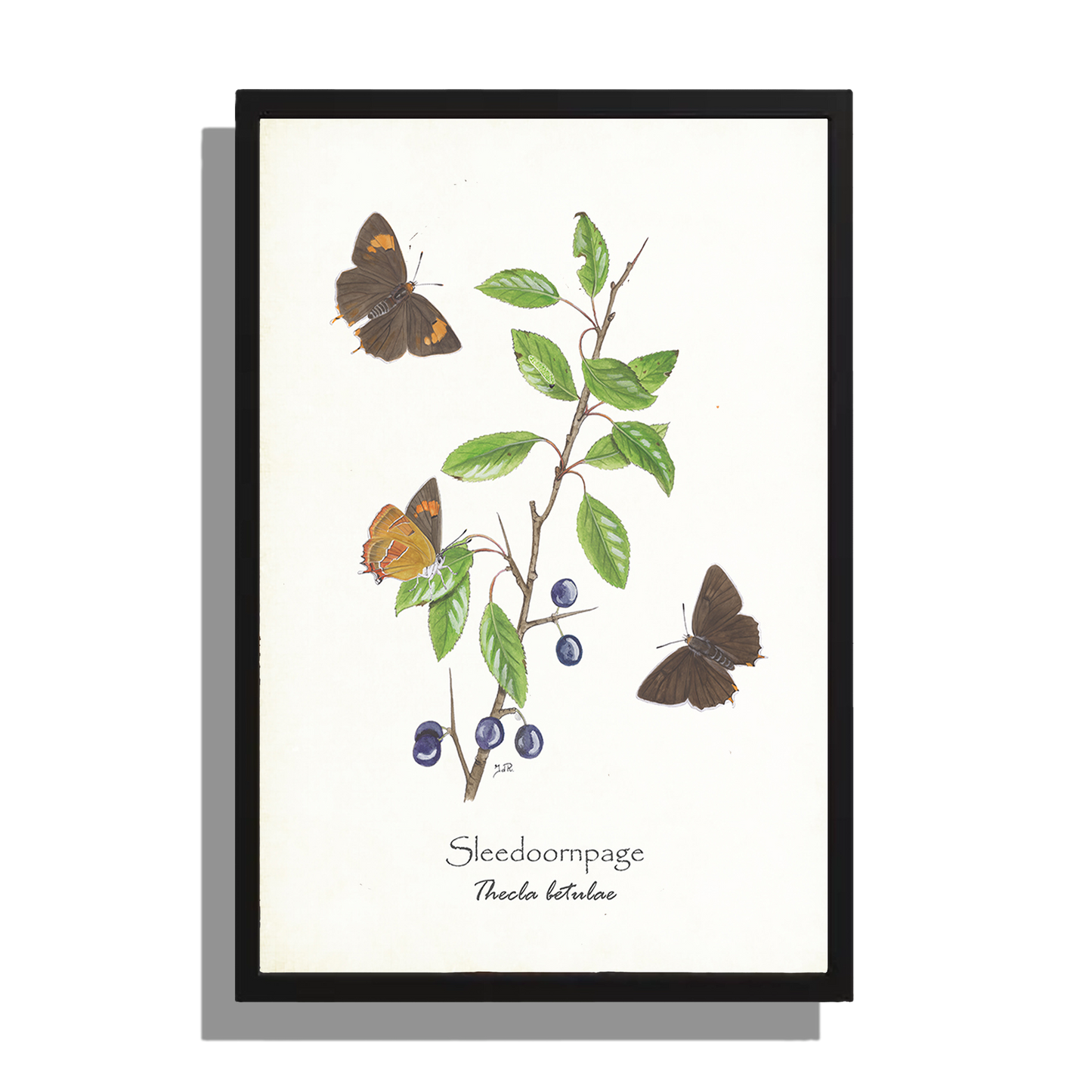 Wanddecoratie "Sleedoornpage"