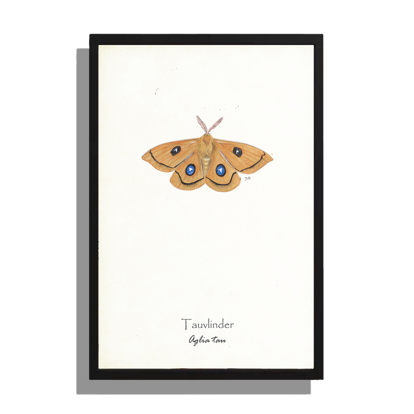 Wanddecoratie "Tauvlinder"