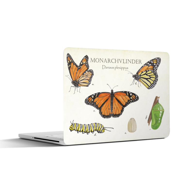 Laptopsticker "Monarchvlinder, het leven van"