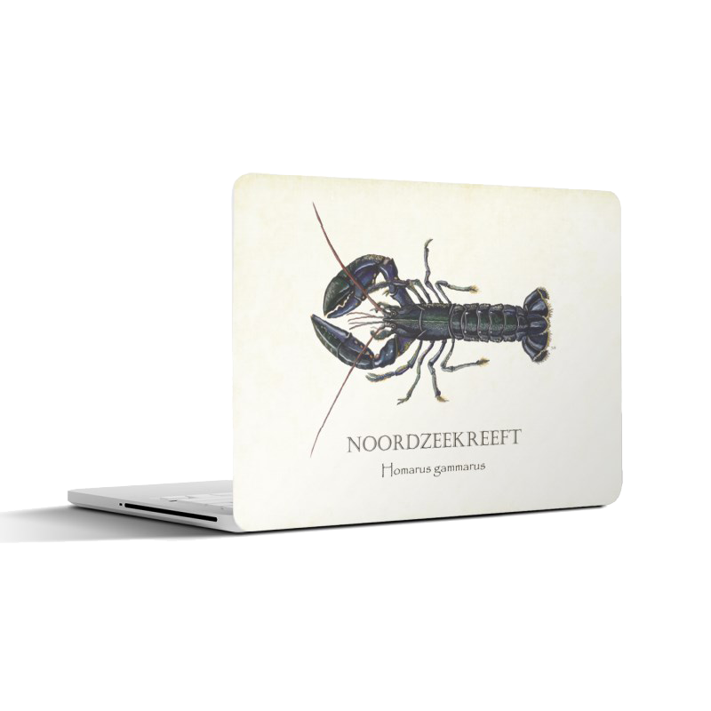 Laptopsticker "Noordzeekreeft"