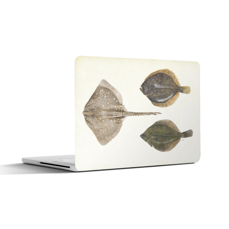Laptopsticker "Platvissen"