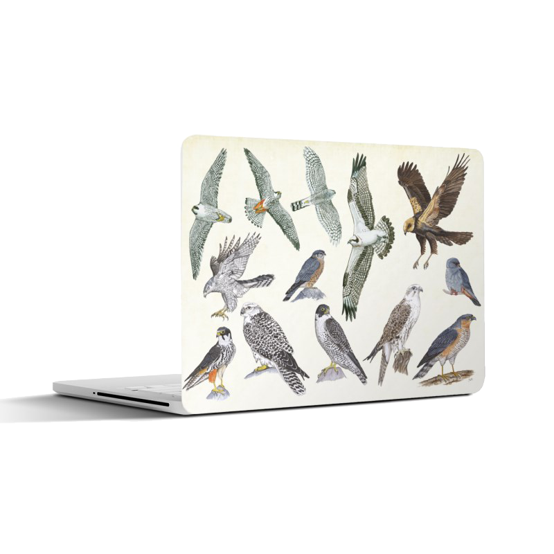 Laptopsticker "Roofvogels"